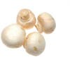 white button mushrooms